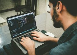 building software in The Hague